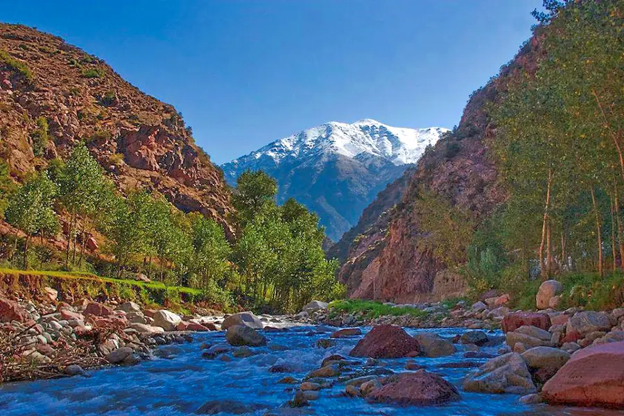 Marrakech Palmeraie and countryside villas